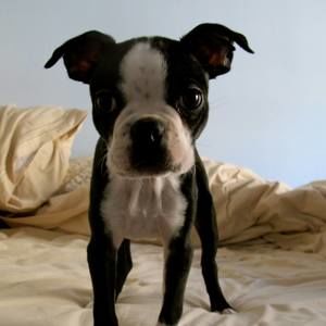 Meet your Posher, Jonathan